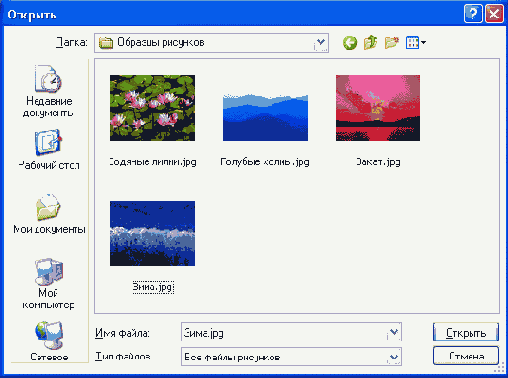   TopenPictureDialog
